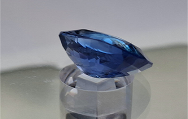 Auction Product