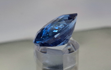Auction Product