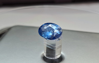 Auction Product