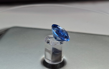 Auction Product