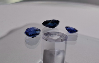 Auction Product