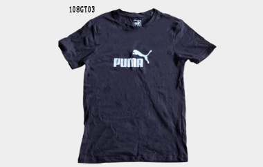 Auction Product